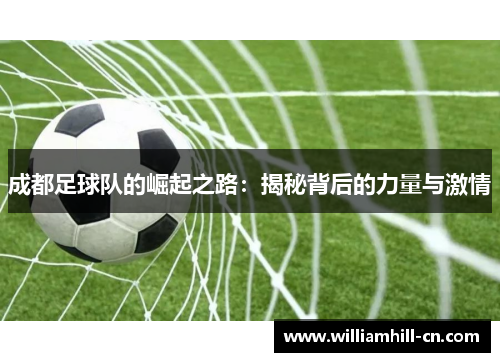 成都足球队的崛起之路：揭秘背后的力量与激情