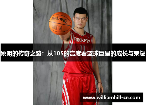 姚明的传奇之路：从105的高度看篮球巨星的成长与荣耀